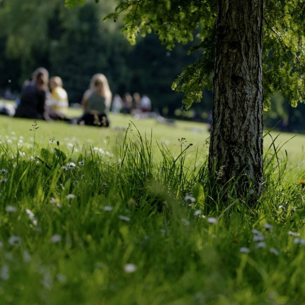 Летний гид: Как защитить себя от клещевого энцефалита