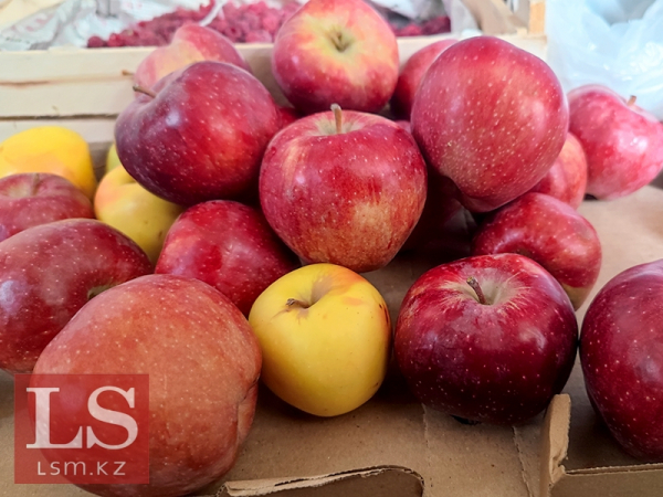 Объем регионального продукта Алматы вырастет до 70 трлн тенге