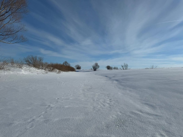 Похолодание и снег принесет циклон до самого юга Казахстана