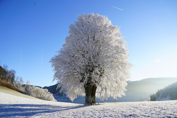 20-градусные морозы в РК развеют обещания синоптиков о теплой зиме