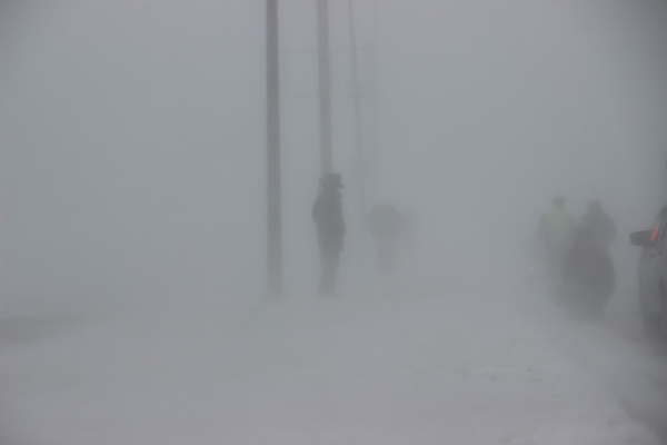 Трое сельчан замерзли в буран в ЗКО
