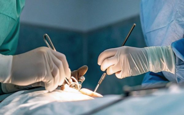 Сколько платят казахстанки за восстановление девственности