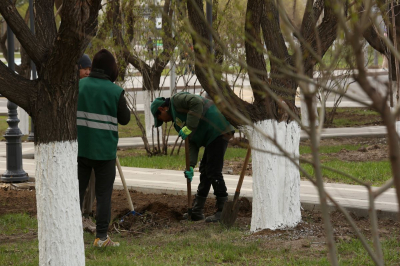 В Астане проведут генуборку