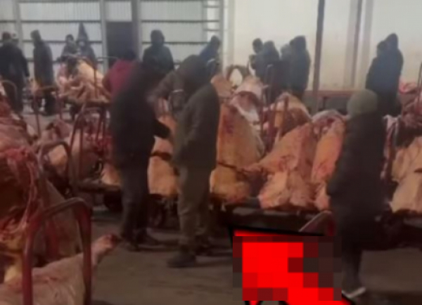 На рынке &quot;Алем&quot; подделывали ветеринарные документы в Астане