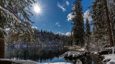 Глава Минфина рассказал Токаеву о сокращении расходных статей бюджета на 300 млрд