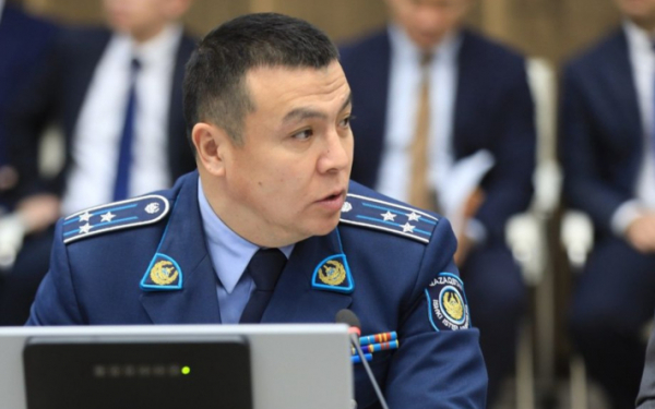 На особый режим работы перейдет полиция в новогодние праздники