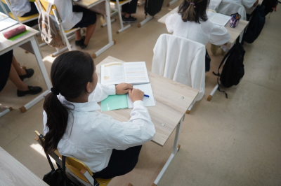 Интеграция интеллектов