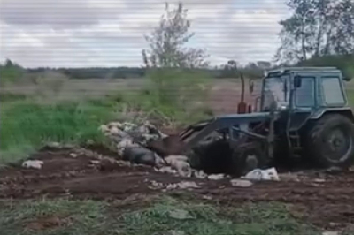 Полиция выявила более 2 400 свалок по всей стране